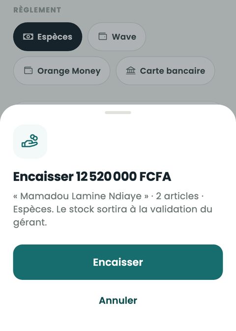 Encaisser 12 520 000 FCFA : règlement en espèces, Wave, Orange Money ou carte bancaire.