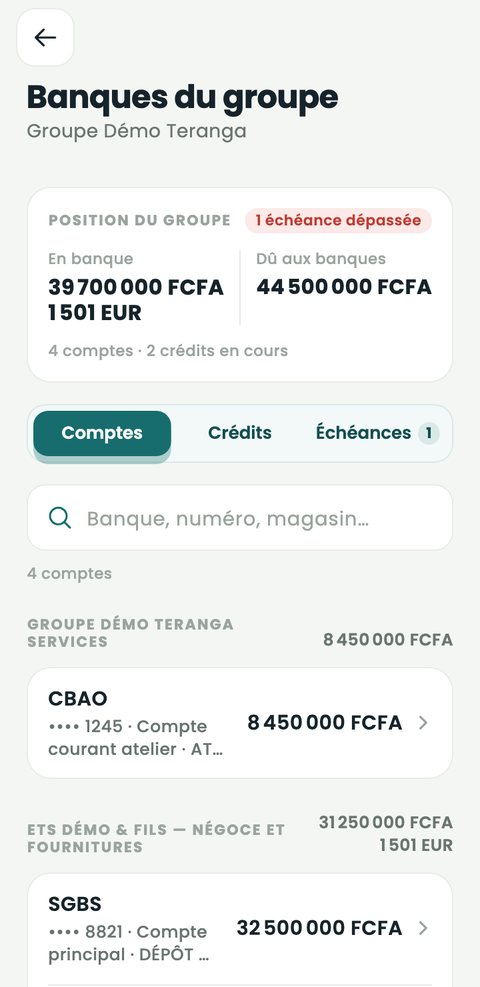 Banques du groupe : position en banque, dû aux banques, comptes et crédits.
